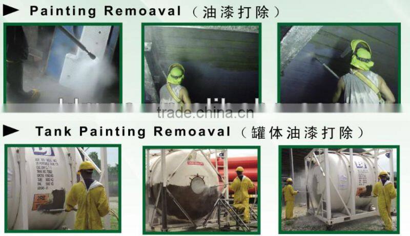 Diesel engine high pressure water cleaner