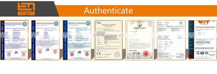 25CC Petrol Chainsaw Chain Saw 10" Inch Bar Tree Log Pruning Pruner