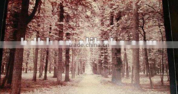 Mini cnc laser machine HD-3030