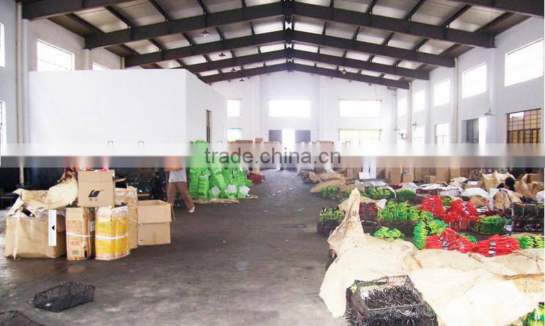 Wood Chisel with two color plastic handle