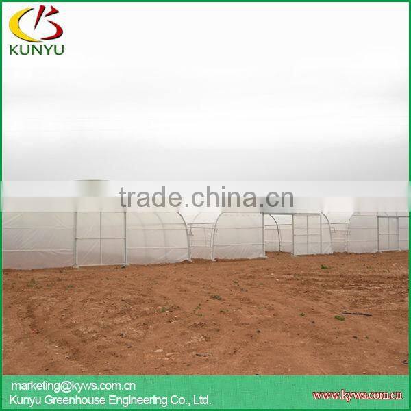low cost high tunnel greenhouse for tomato growing