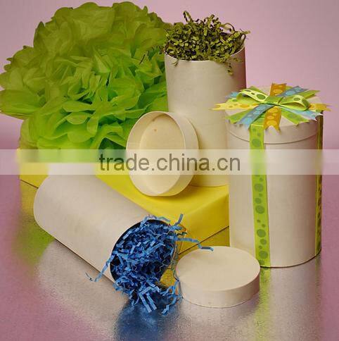 High-End matt customized clear tube packaging