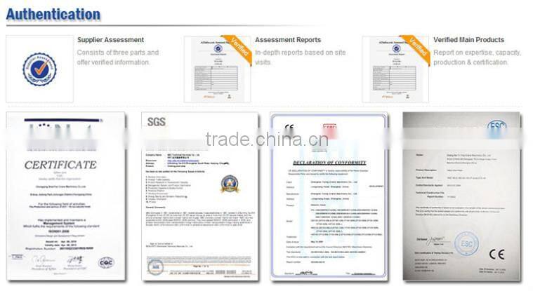 Electric Hoist with Wireless Remote PA200~1000