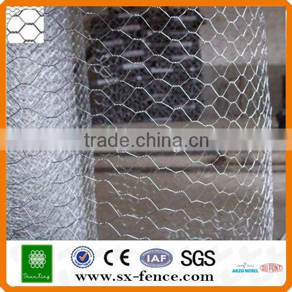 Galvanizedpvc coated chicken wire poultry mesh(ISO9001:2008 professional manufacturer)