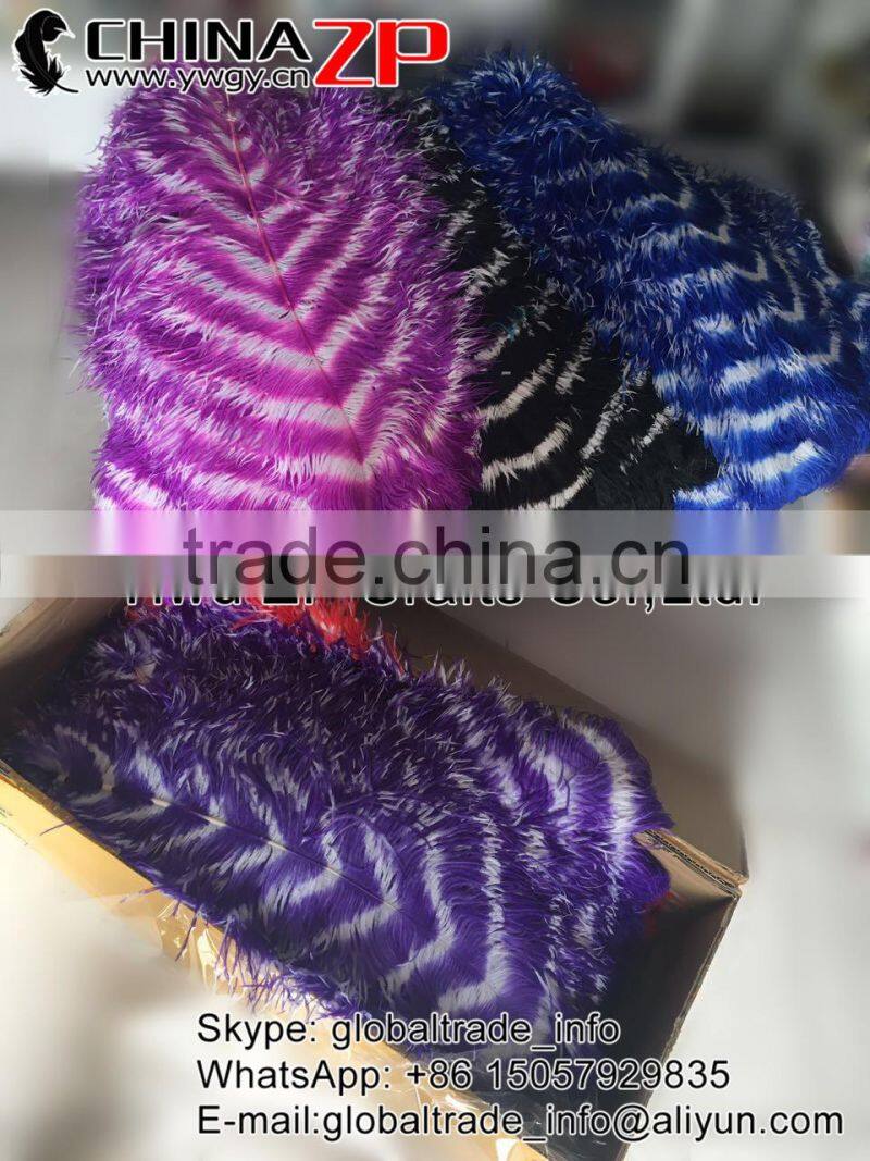 ZPDECOR Factory Wholesale Large Size from 28 to 30inch Striped Ostrich Feathers for Morelos Carnival