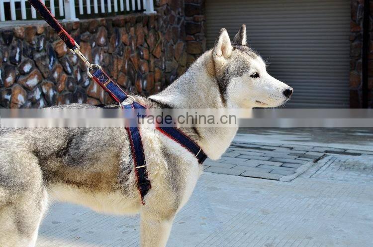 Branded Cheap Bulk Pet Supplies L Denim Pet Leashes