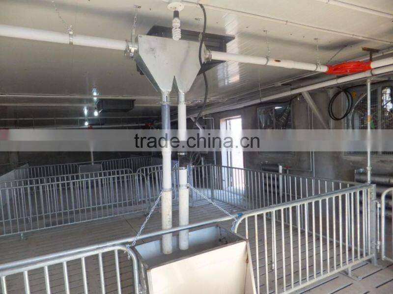 Pig stainless steel double sided, three-head feeder