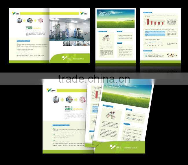 New design book printing with different sizes