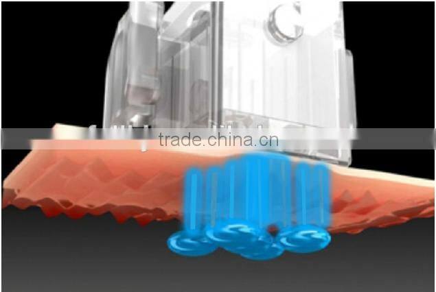 Professional mesotherapy vaccum meso gun Hydrolifting Beauty Equipment (CE Approved)