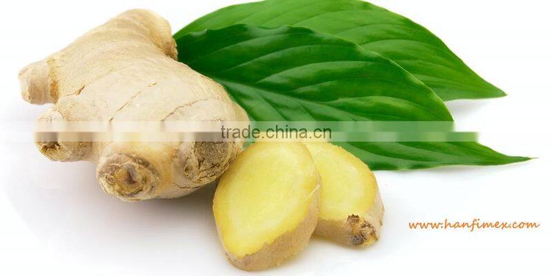 FRESH GINGER 200G UP FOR ALL MARKET