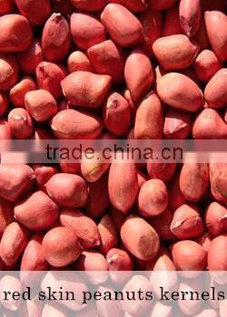 Shine Skin Seeds New Crop