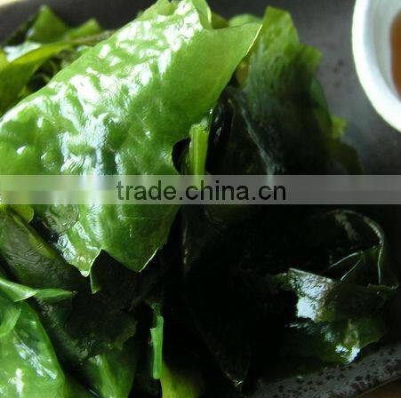 Frozen kosher seasoned bulk seaweed salad