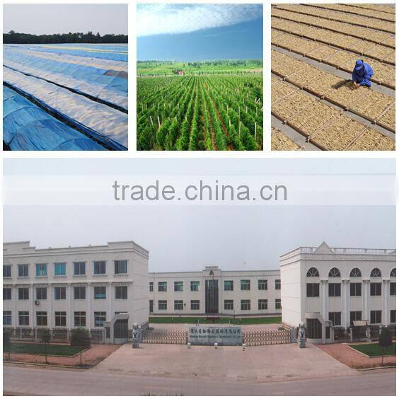 Raspberry Extract Powder Chinese Manufacturer