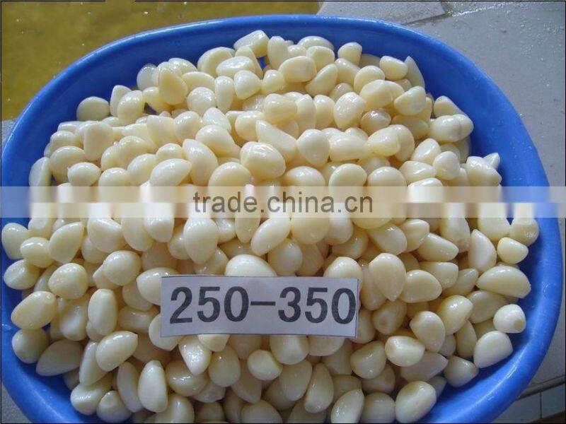 Salted garlic in brine 250-350
