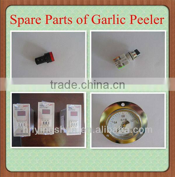 2013 low price garlic fresh garlic