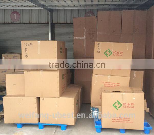 chicken feed pan system for broiler