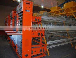 Automatic egg collection system