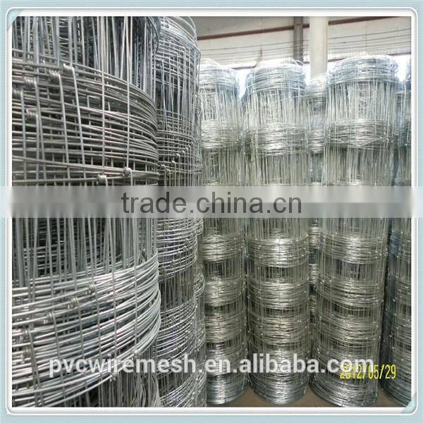 Hot dipped galvanized wire fencing horses