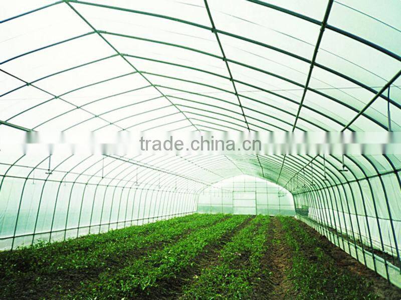 Vegetable Growing Greenhouse