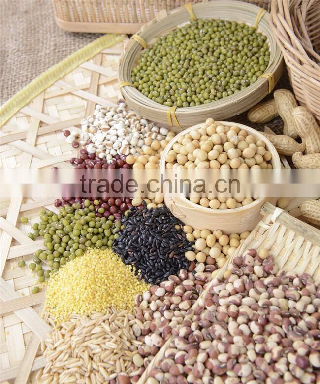 2016 Nice type 100-1000 g Almonds racking packing machine from China factory