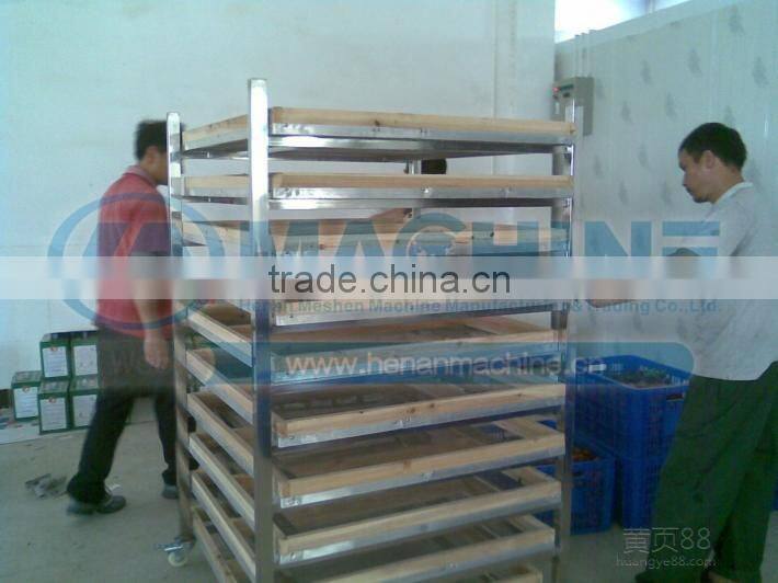Most energy saving dried meat machines fruit drying oven cocoa drying machine