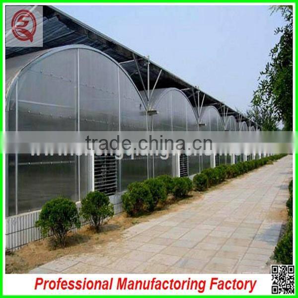 China Commercial plastic film greenhouse for sale