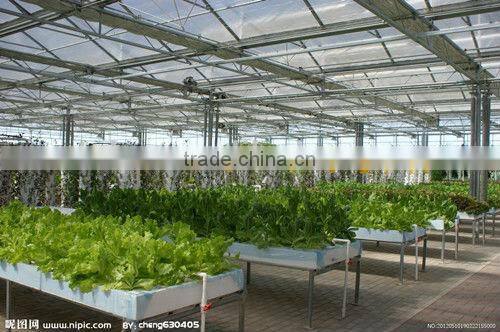Greenhouse PE vegetable sun plastic shade net