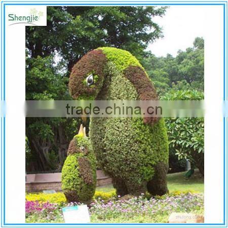 New design of customized artificial topiary topiary frame peacock