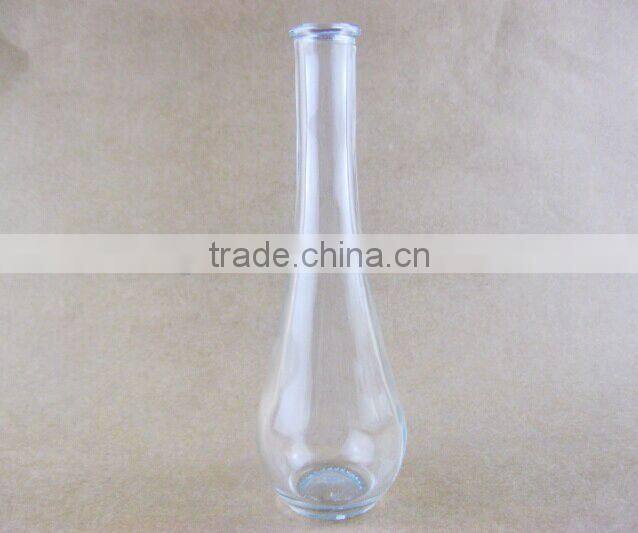 clear glass vase / flower bottle