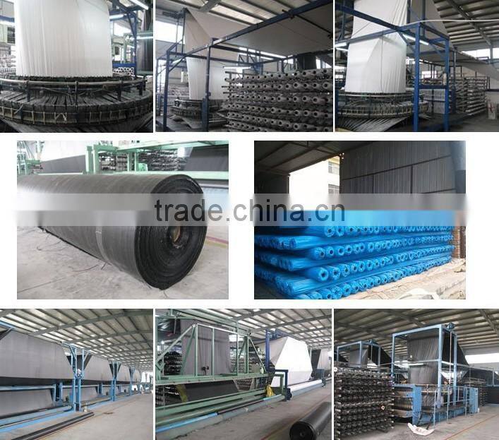 Fish tank and swim pool hdpe geomembrane liner hdpe geomembrane geomembrane