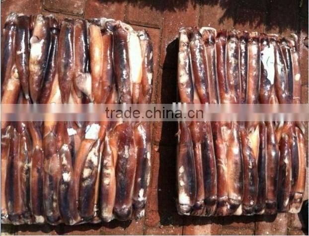 Frozen illex argentinus squid