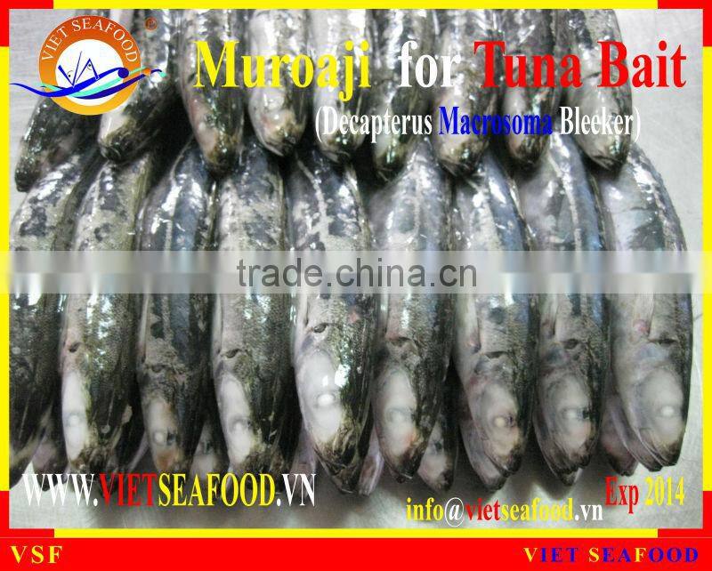 MUROAJI FOR TUNA BAIT