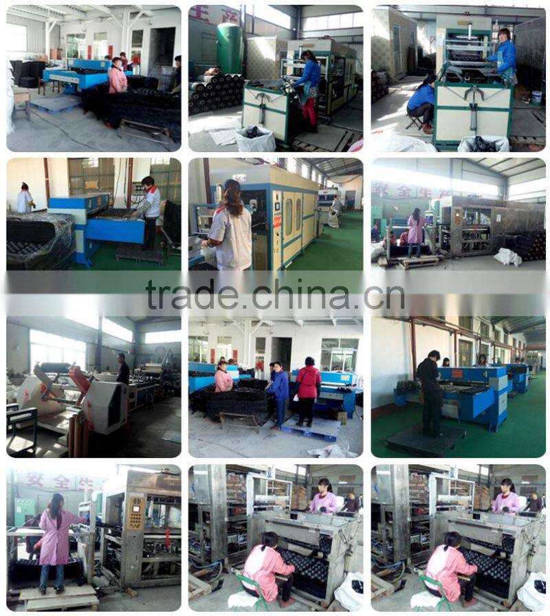 Fresh Produce Packaging Customized Vacuum Forming Disposable Plastic Fruit Cell Tray