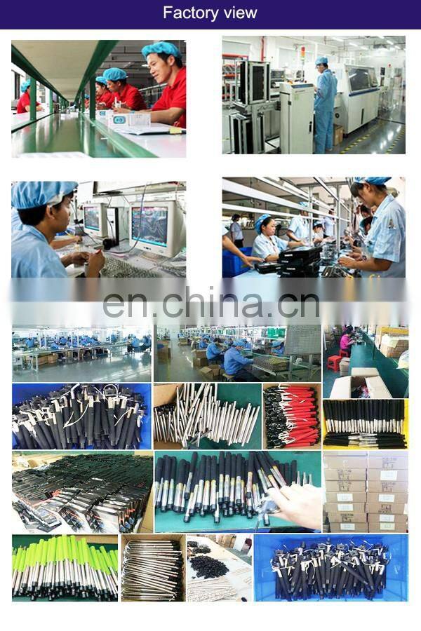 Plush toy custom squeeze sound box chip