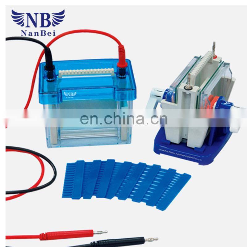 SDS PAGE animals blood protein gel electrophoresis