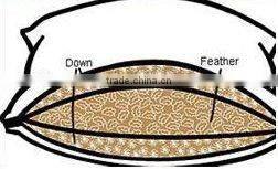 Sandwich pillow, White duck down pillow, Down pillow