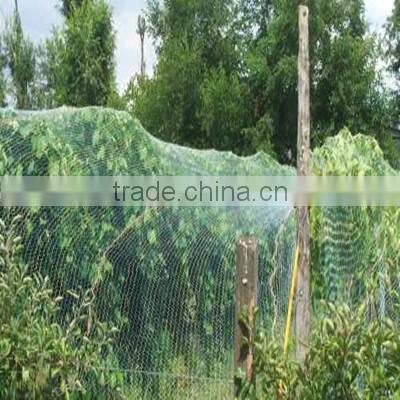 100% virgin plastic knitted ext strong anti bird net