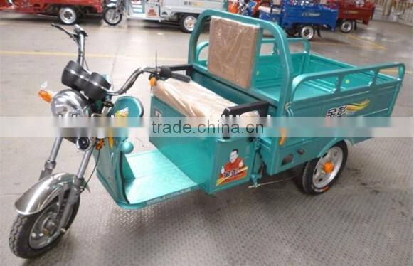 800W three-wheel cargo electric rickshaw