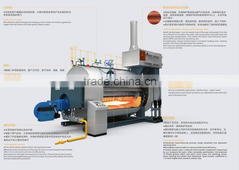 Condensing gas fired hot water boiler
