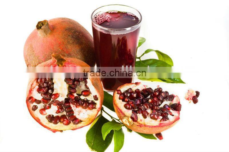 Hot sale ! Grape juicing machine manufactured in Wuxi Kaae