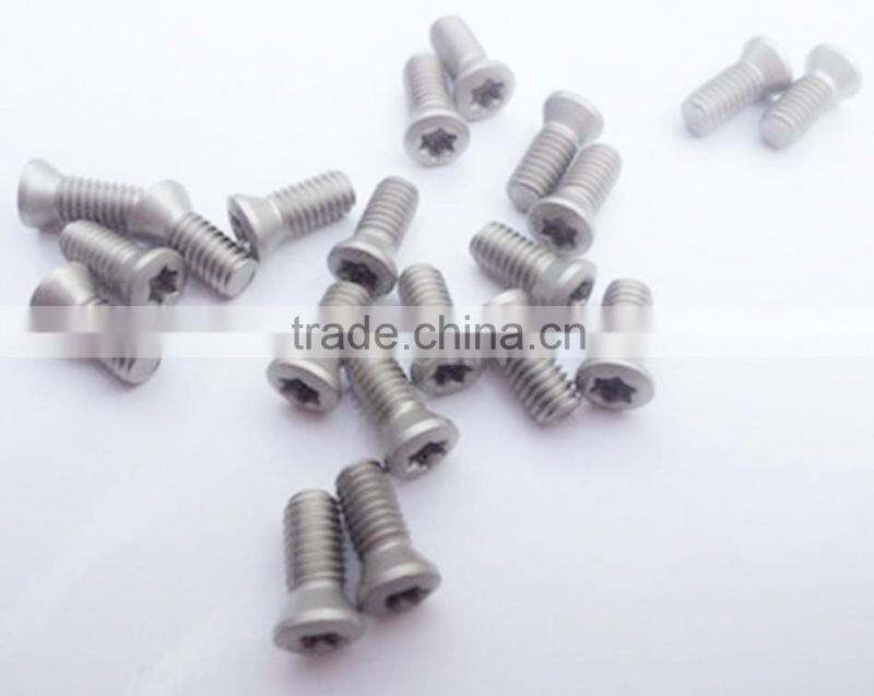 star type torx hilt galvanized steel screws