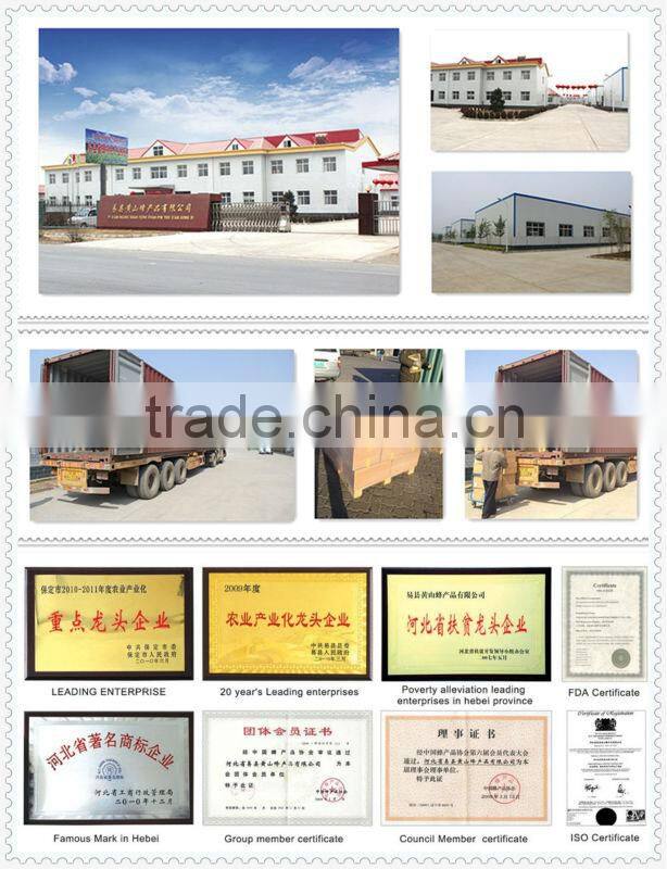 European style round shape bee smoker with inner tank