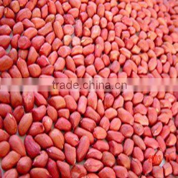 Red Skin Peanut Kernels