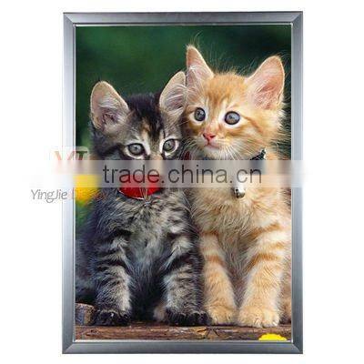 outdoor led advertising display light box