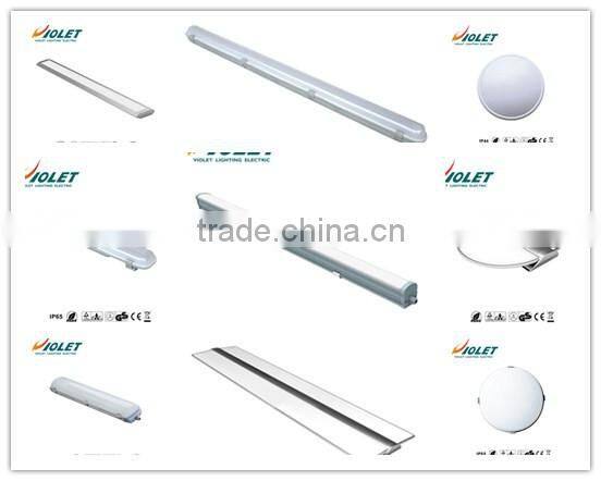 Manufacturer IP65/IP66 indoor and outdoor flashlight From VIOLET