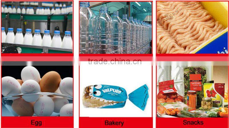 Glasss bottle expiry date automatic industrial ink jet printing machine
