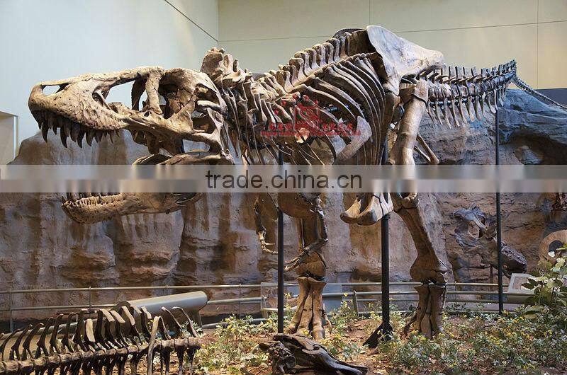 Artificial dinosaur Skeleton Fossil for Museum