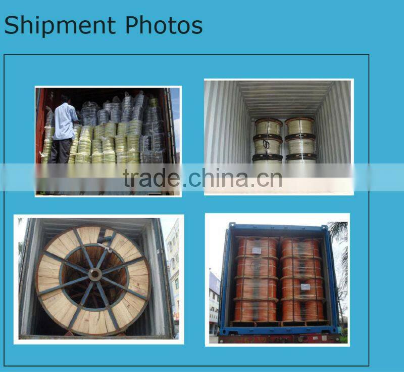 sheathed control flexible cable