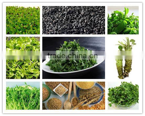new functional automatic -animal fodder sprouting mahine -barley/wheat/meize/seedling bean sprout machine