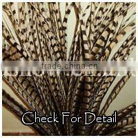 Indian Dance Feather Costume Top Quality Feather Costume